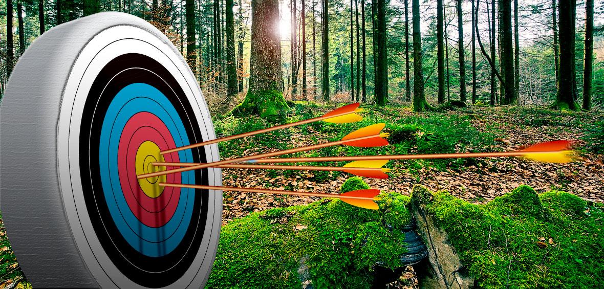archery-board