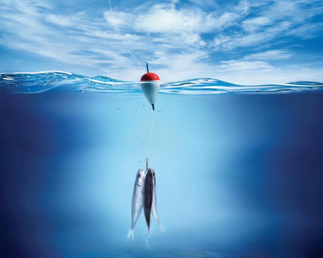 fishing bobber