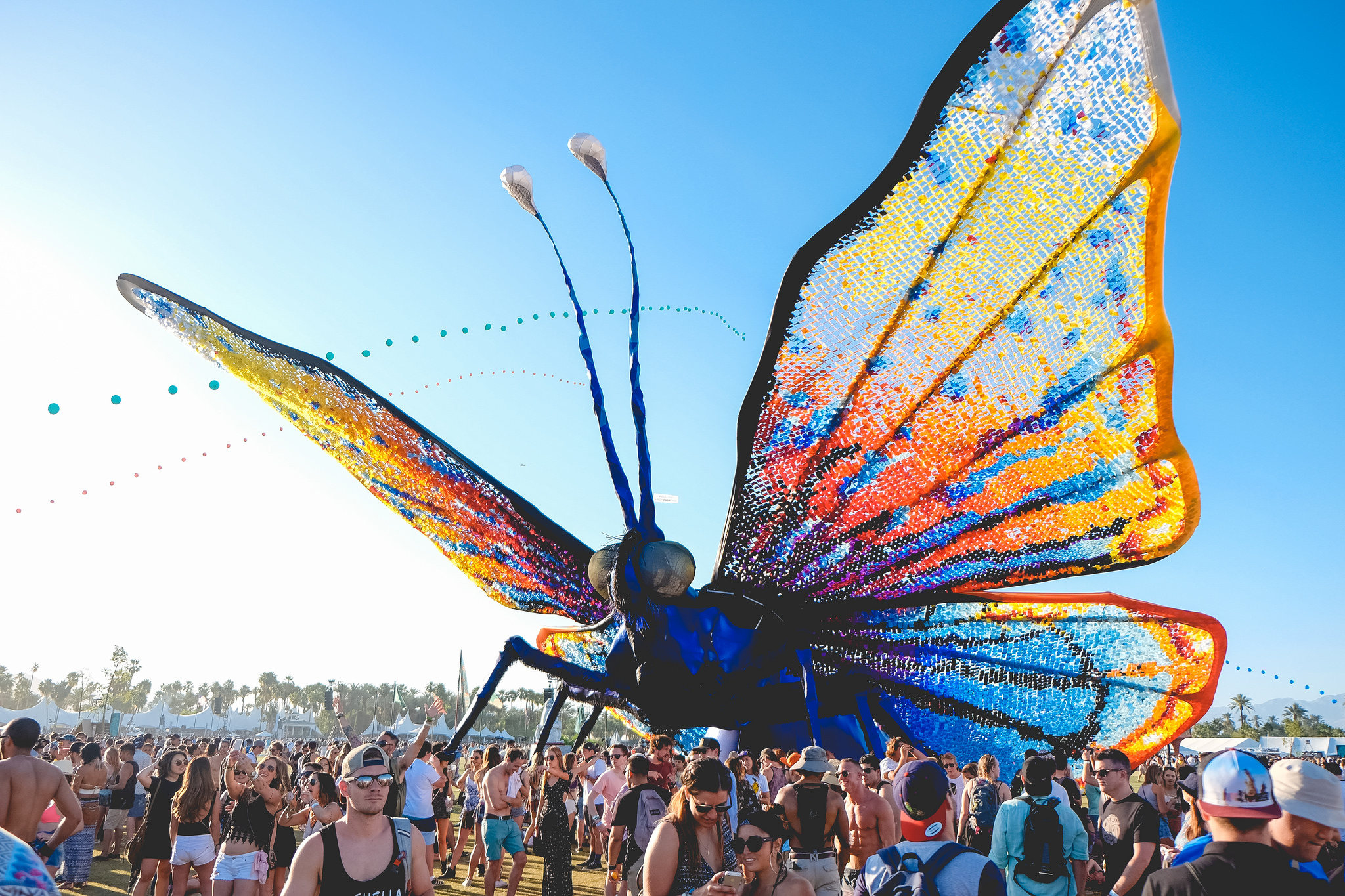 rainbow butterfly parade
