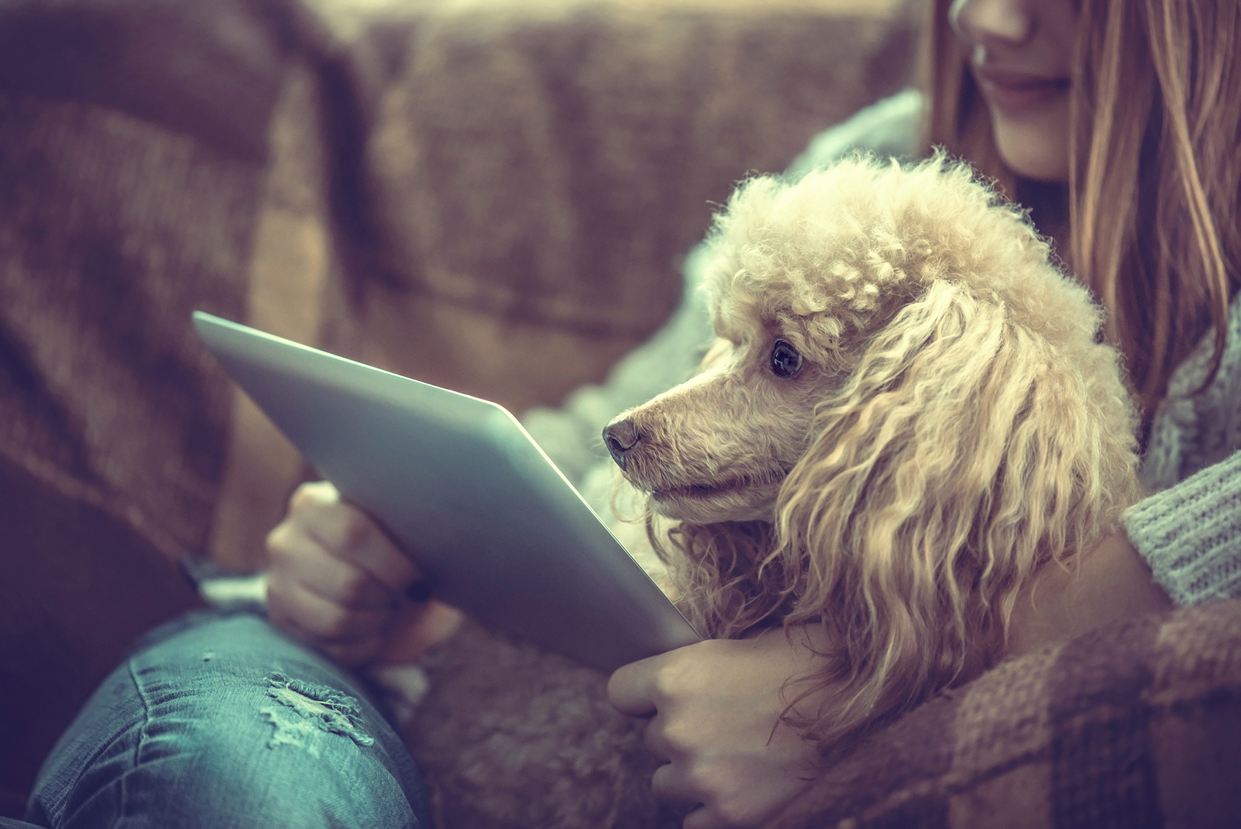 Young girl is resting with a dog on the armchair at home and us